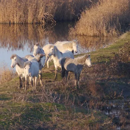 別荘 La Pinetina *